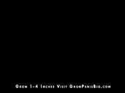 Babe sucks and gets fucked2 